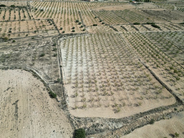 Plot for Sale in Pinoso, Alicante 15