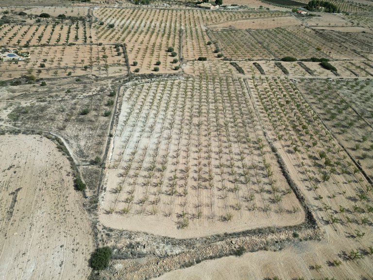 Plot for Sale in Pinoso, Alicante 16