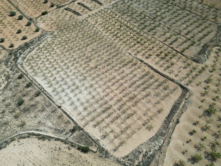 Plot for Sale in Pinoso, Alicante 17