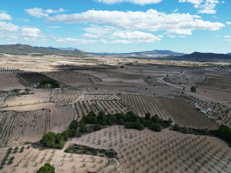 Plot for Sale in Pinoso, Alicante 1
