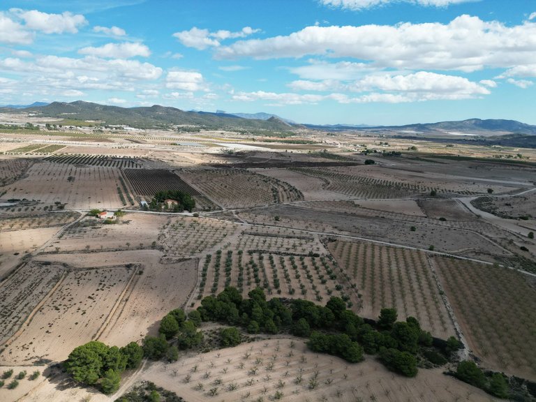 Plot for Sale in Pinoso, Alicante 2