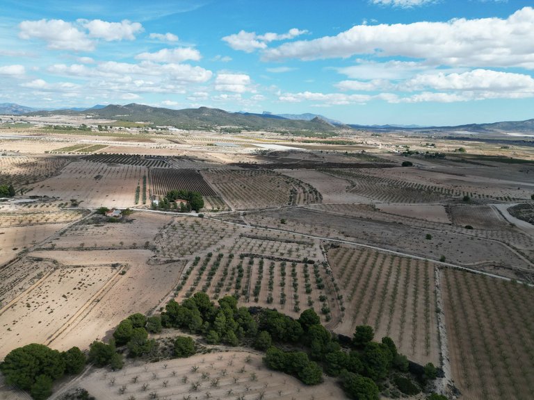 Plot for Sale in Pinoso, Alicante 3