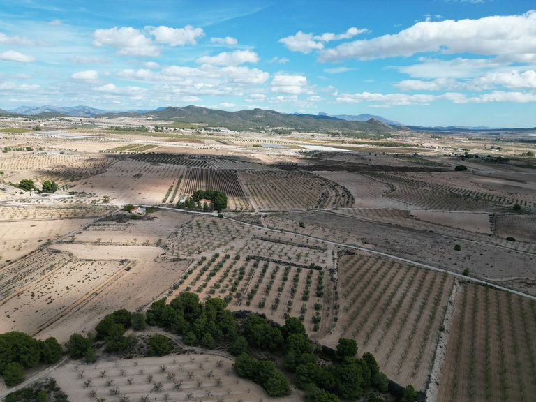 Plot for Sale in Pinoso, Alicante 4