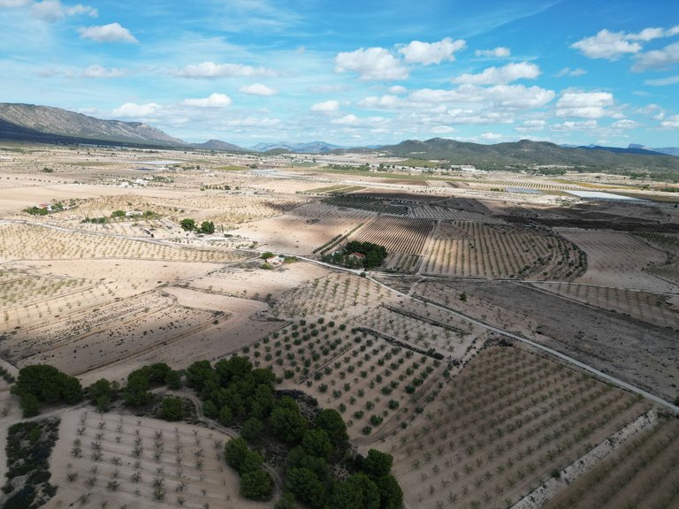 Plot for Sale in Pinoso, Alicante 5