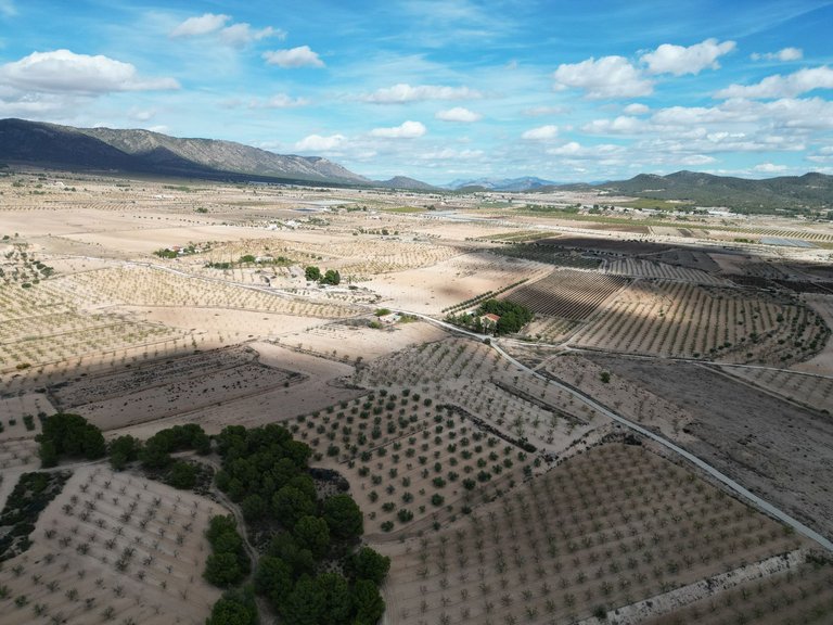 Plot for Sale in Pinoso, Alicante 6