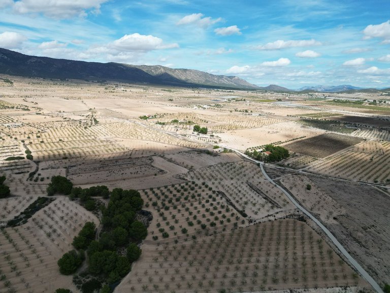 Plot for Sale in Pinoso, Alicante 7