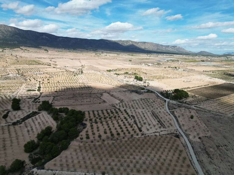 Plot for Sale in Pinoso, Alicante 8