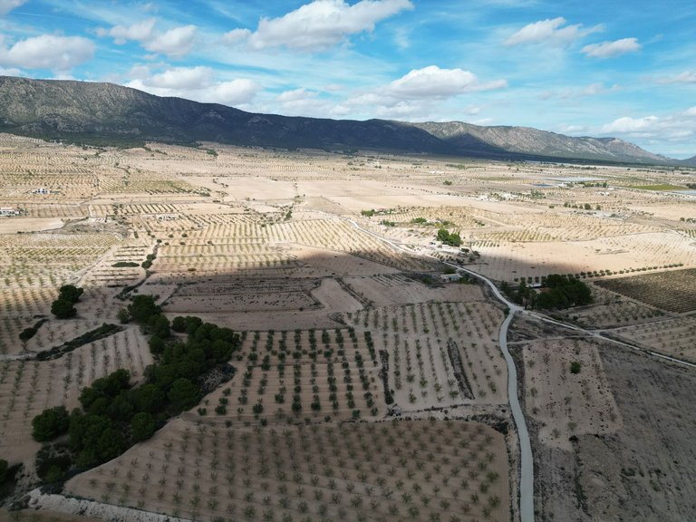 Plot for Sale in Pinoso, Alicante 9