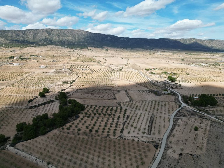 Plot for Sale in Pinoso, Alicante 10