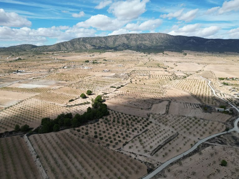 Plot for Sale in Pinoso, Alicante 12