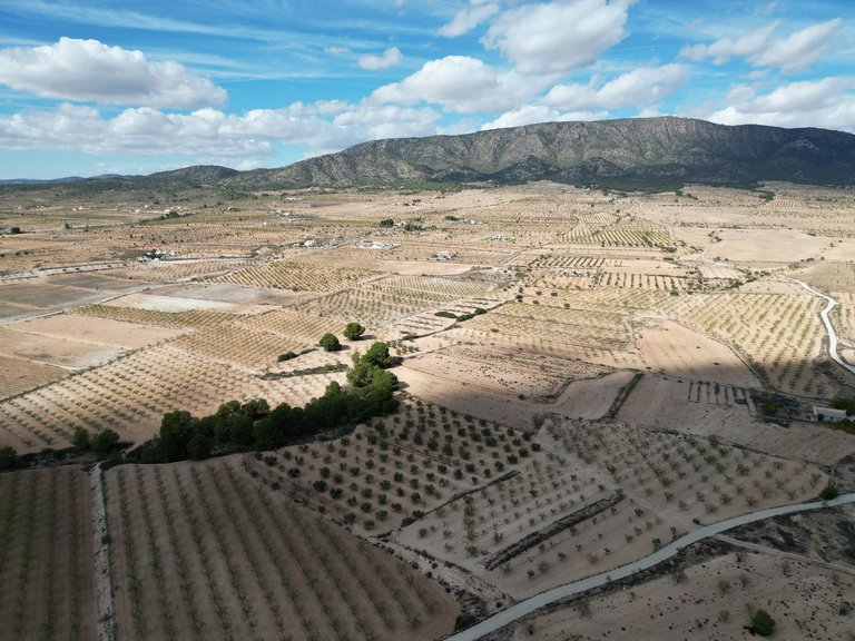 Plot for Sale in Pinoso, Alicante 13