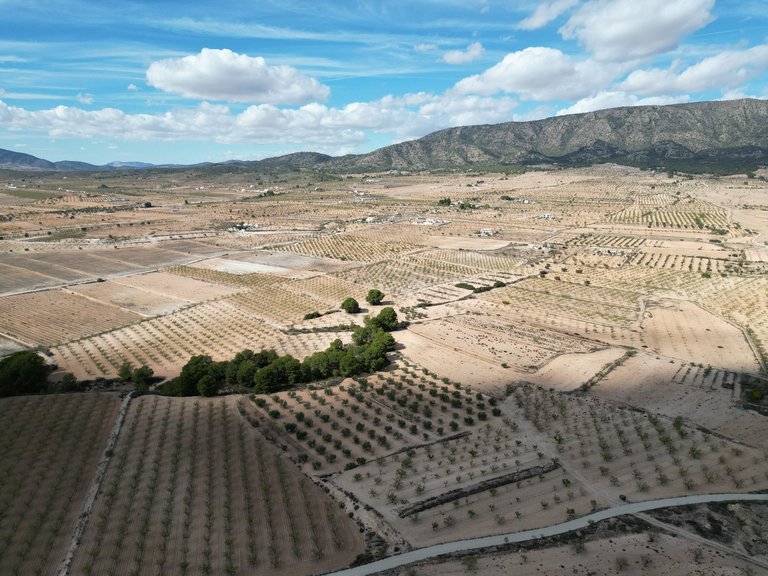 Plot for Sale in Pinoso, Alicante 14