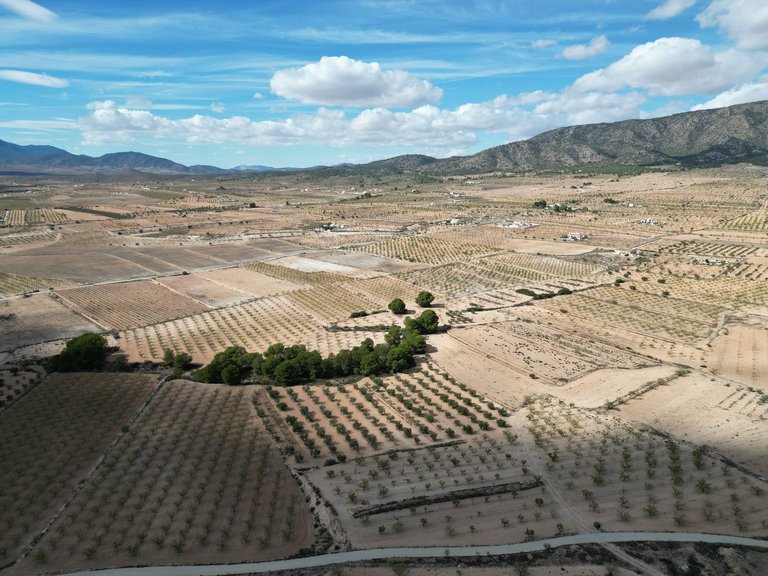 Plot for Sale in Pinoso, Alicante 15