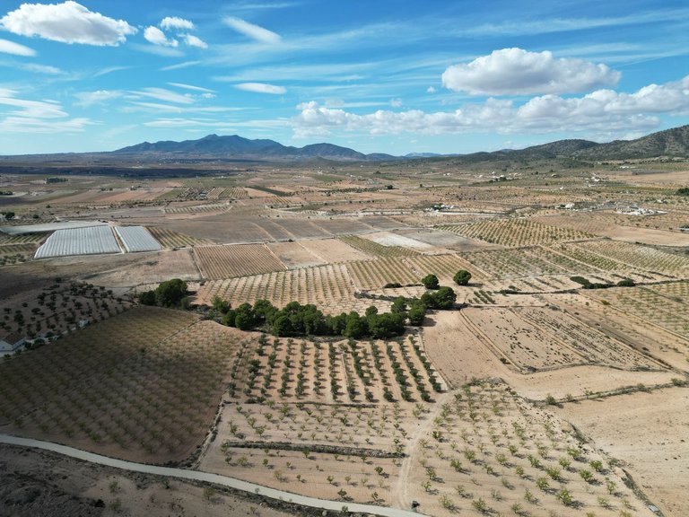 Plot for Sale in Pinoso, Alicante 17