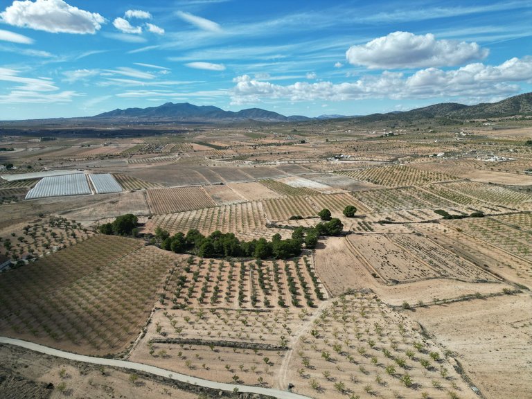 Plot for Sale in Pinoso, Alicante 18