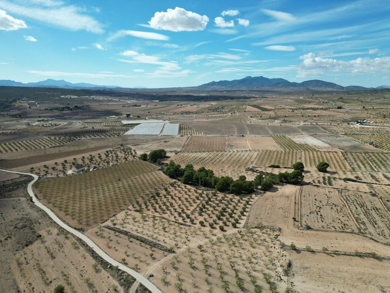 Plot for Sale in Pinoso, Alicante 20