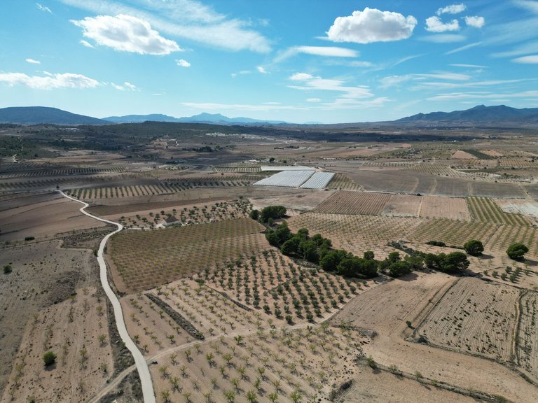 Plot for Sale in Pinoso, Alicante 21