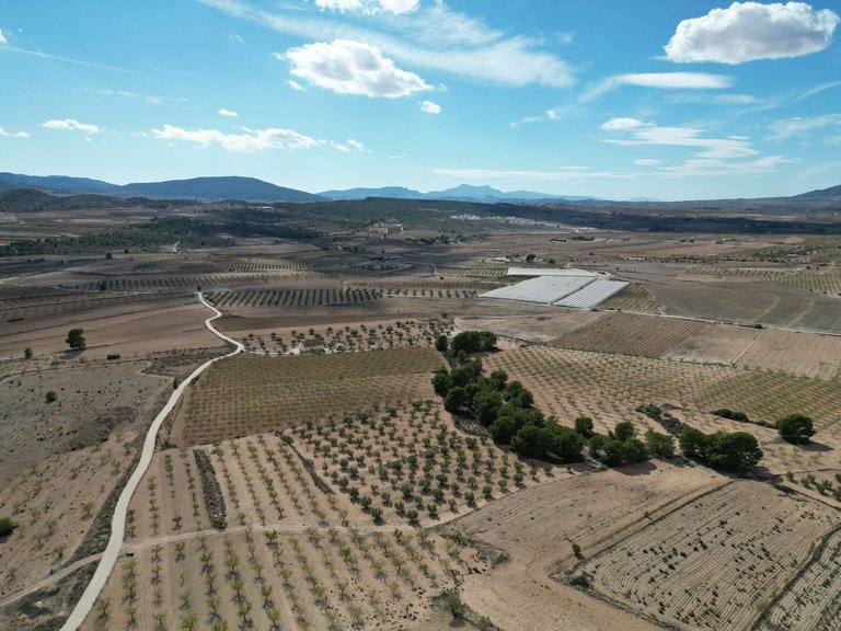 Plot for Sale in Pinoso, Alicante 22