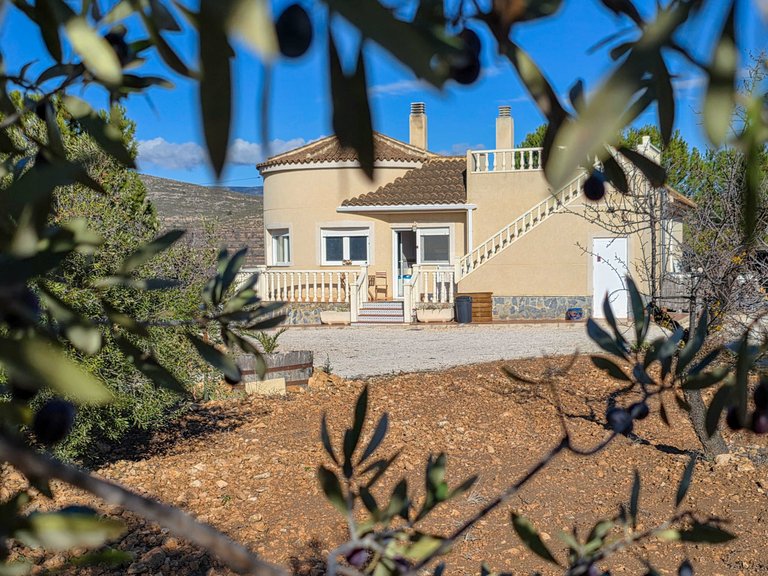 Villa for Sale in Cañada Del Trigo, Murcia 4