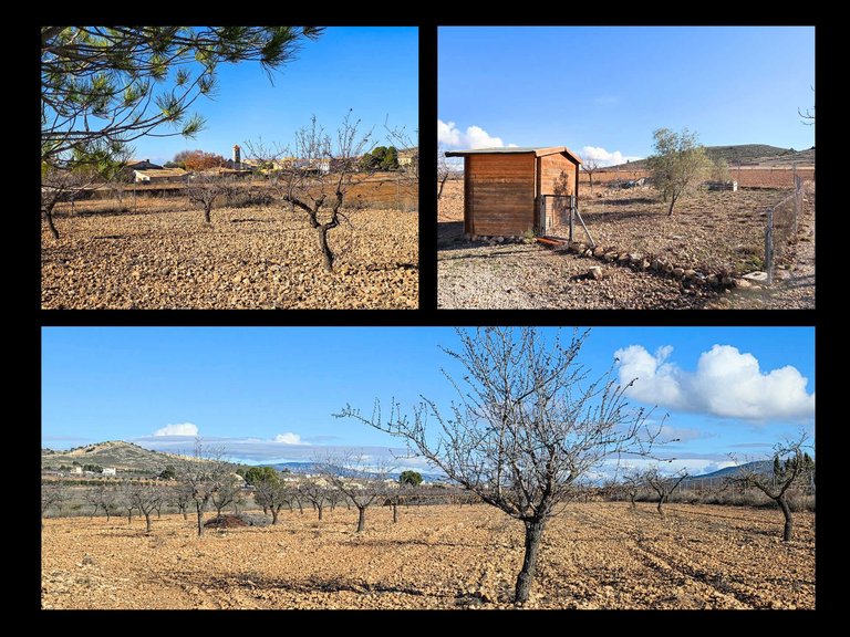 Villa for Sale in Cañada Del Trigo, Murcia 44