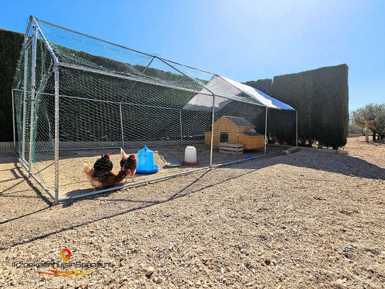Villa for Sale in Caudete, Albacete 32