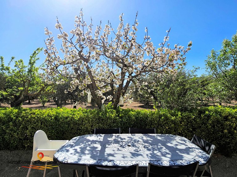 Villa for Sale in Caudete, Albacete 34