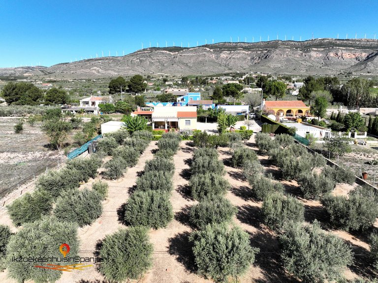 Villa for Sale in Caudete, Albacete 35
