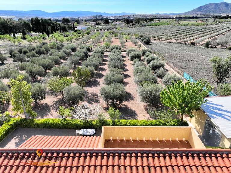 Villa for Sale in Caudete, Albacete 37