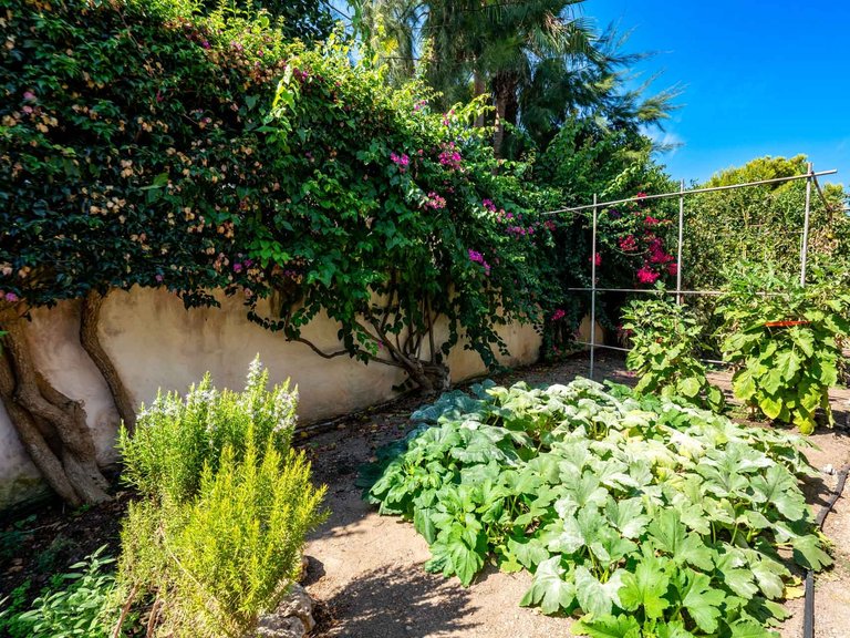 Villa for Sale in Santa Ponsa, Balearic Islands 8