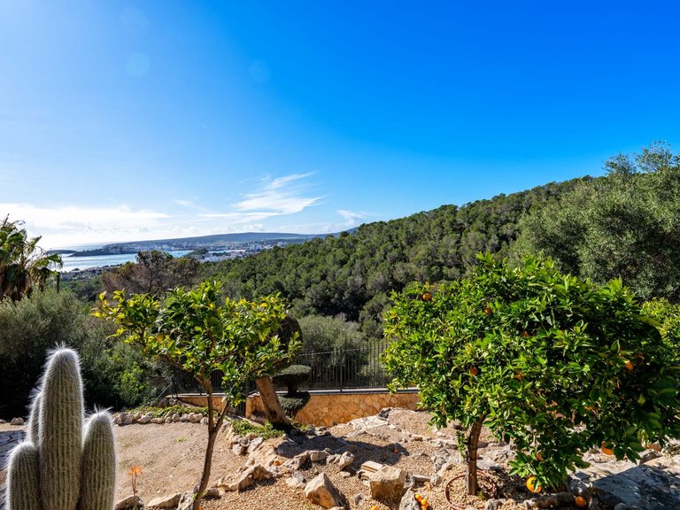 Villa for Sale in Costa D'en Blanes, Balearic Islands 6