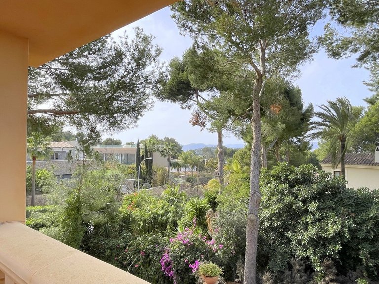 Villa for Sales in Santa Ponsa, Balearic Islands 31