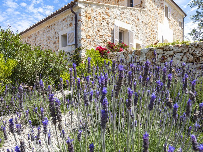 Country House for Sales in Ses Salines, Balearic Islands 26