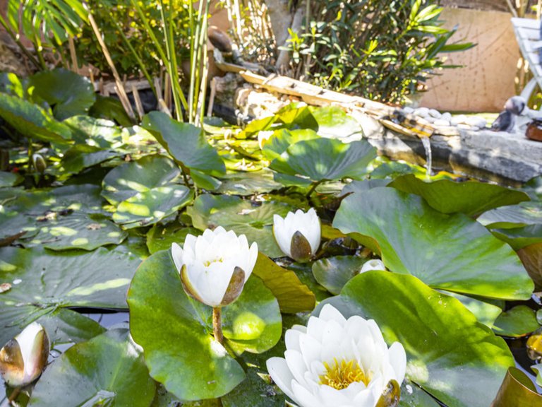 Villa for Sales in El Toro, Balearic Islands 10