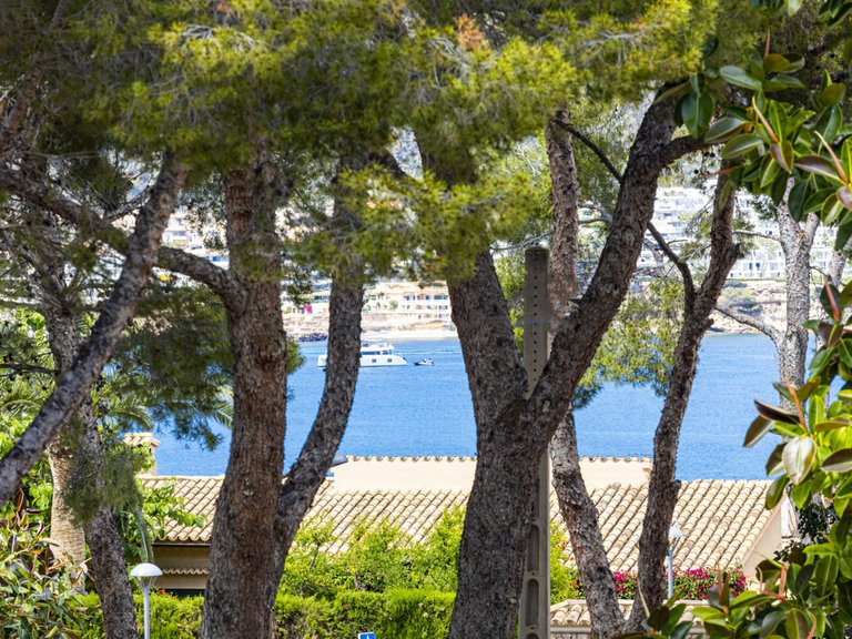Villa for Sales in Torrenova, Balearic Islands 28