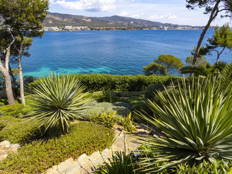 Villa for Sales in Torrenova, Balearic Islands 35