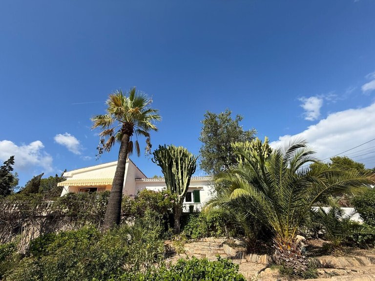 Villa for Sales in Cala Vinyes, Balearic Islands 9