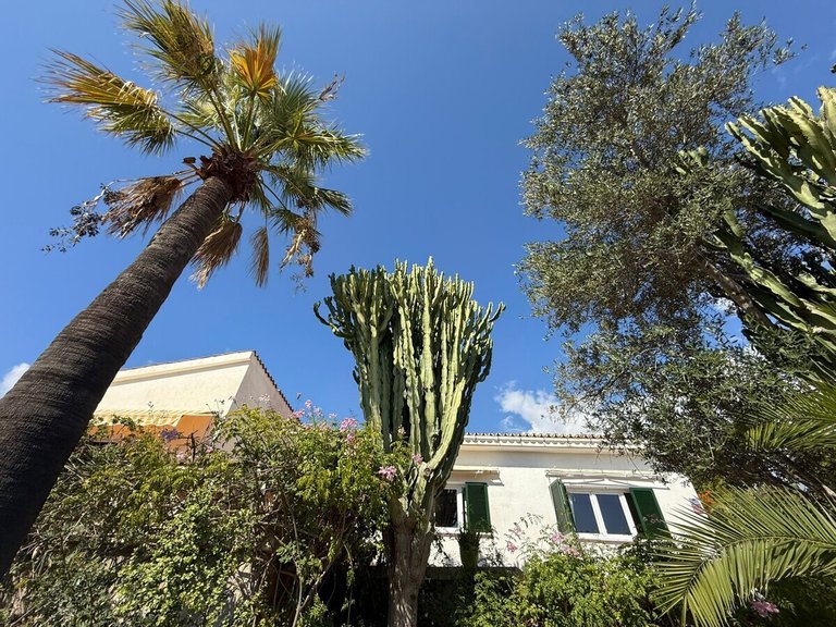 Villa for Sales in Cala Vinyes, Balearic Islands 12