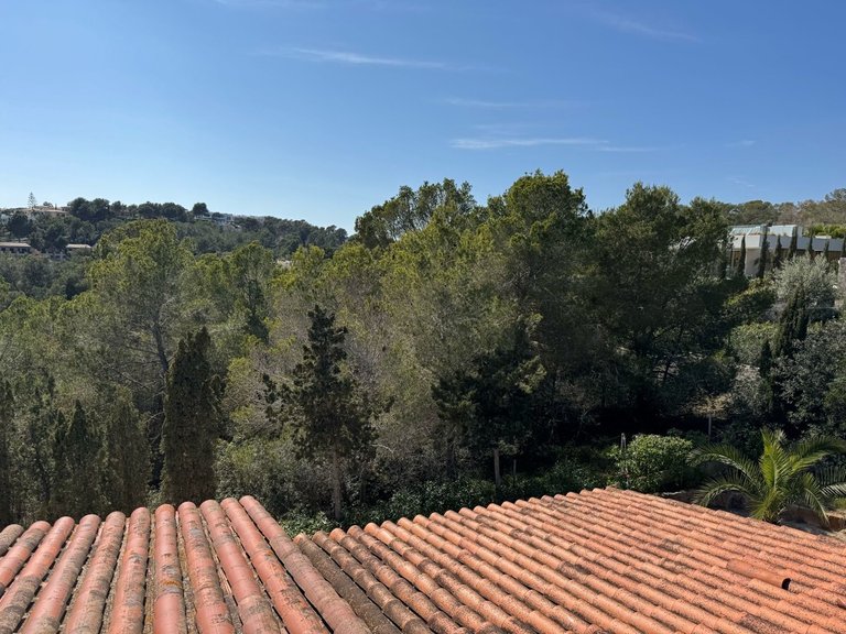 Villa for Sales in Cala Vinyes, Balearic Islands 5