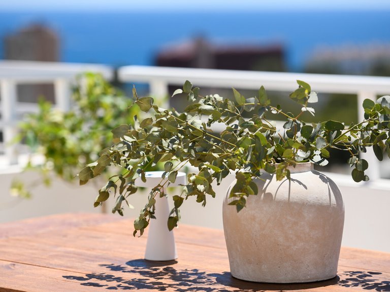 Apartment for Sales in Cas Catala, Balearic Islands 4