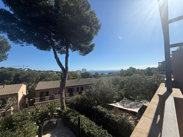 Town House for Sales in Cala Vinyes, Balearic Islands 46