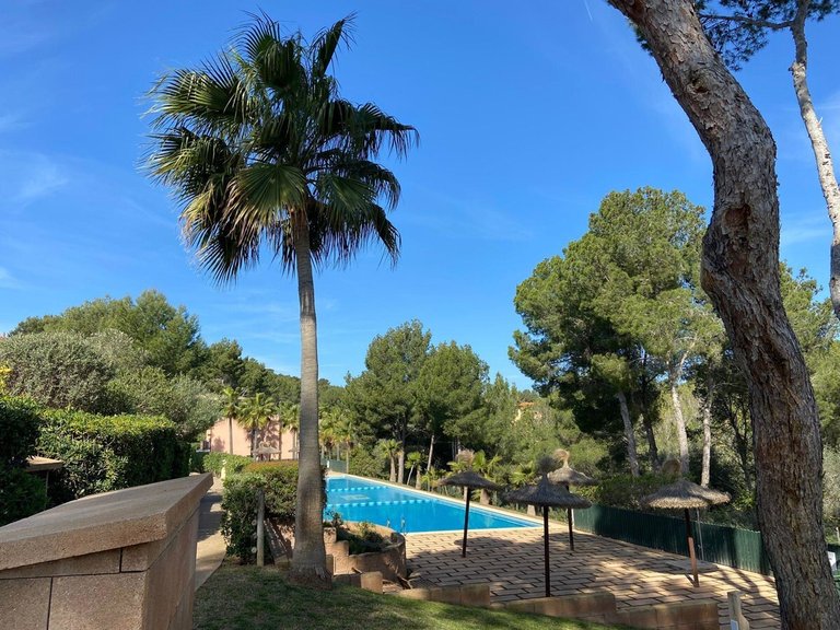 Apartment for Sales in Cala Vinyes, Balearic Islands 34