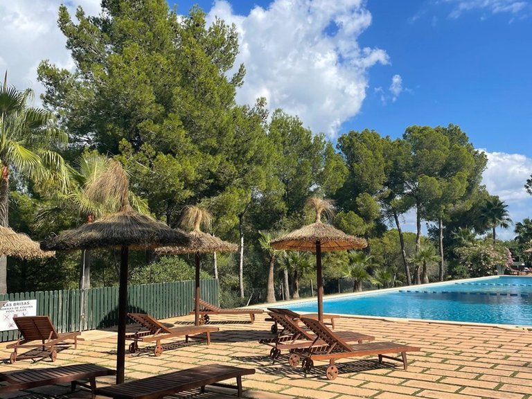 Apartment for Sales in Cala Vinyes, Balearic Islands 39