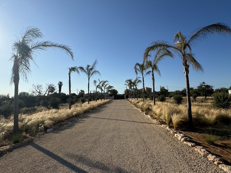Country House for Long Term Rentals in Santanyi, Balearic Islands 23