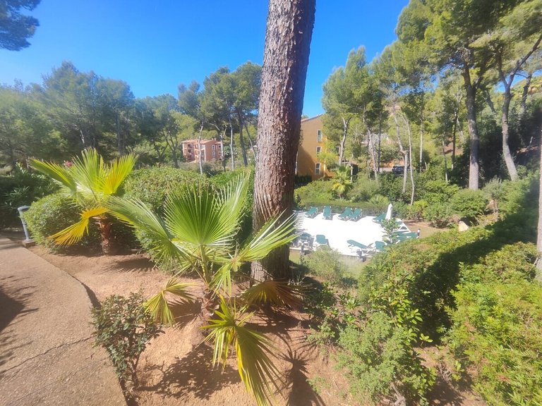 Apartment for Sales in Cala Fornells, Balearic Islands 20