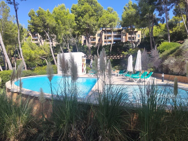 Apartment for Sales in Cala Fornells, Balearic Islands 12