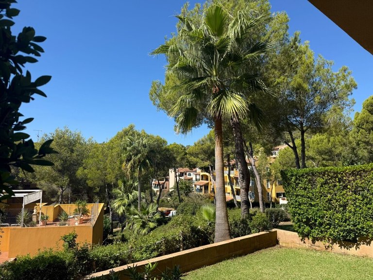 Apartment for Sales in Cala Fornells, Balearic Islands 38