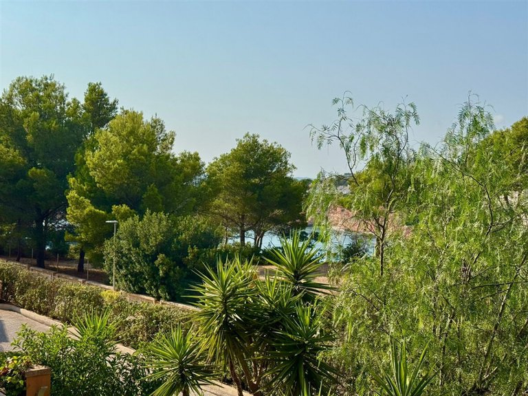 Apartment for Sales in El Toro / El Toro, Balearic Islands 13