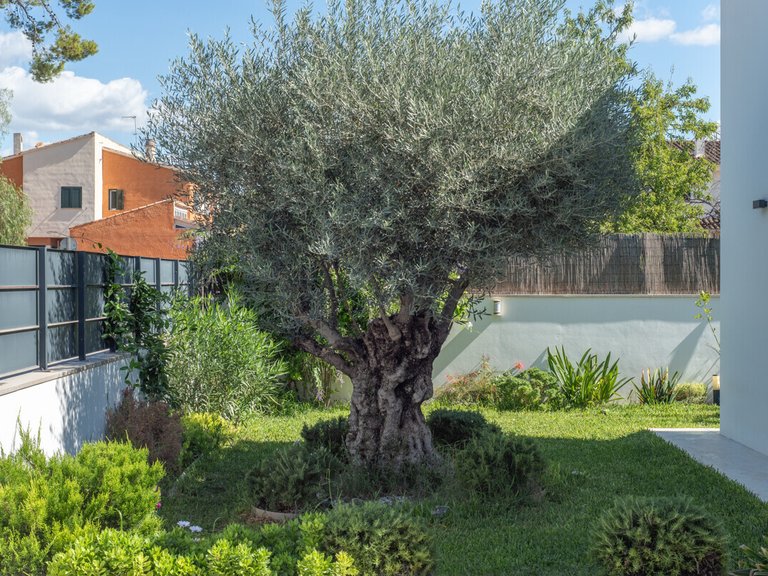 Villa for Sales in Marratxi, Balearic Islands 43