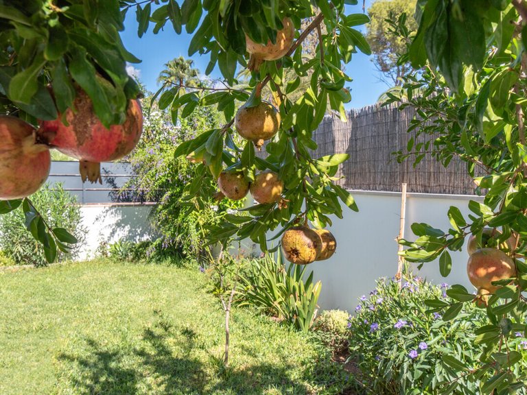 Villa for Sales in Marratxi, Balearic Islands 8