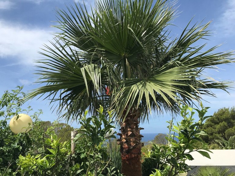 Town House for Sales in Tolleric, Balearic Islands 25